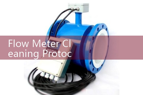 Flow Meter Cleaning Protocol: Removing Scale and Chemical Buildup from Internal Electrodes